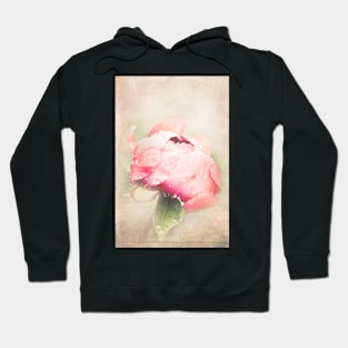 Textured photo of a pink peony Hoodie